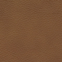 PCU10700/6A/57/58/62/77 : PCU10700S12