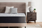 Anniversary Edition Plush  Mattress